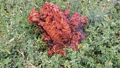 Непознат обект е паднал от небето в Якоруда и е