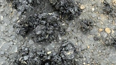 Пътният експерт Диана Русинова сигнализира за поредното безумие по родните