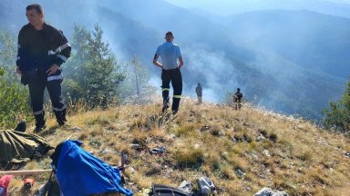 Пожар се разгоря в местността Корията в Национален парк Пирин