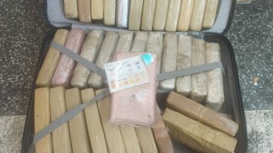 Гръцката и германската полиция разбиха престъпна мрежа за контрабанда на
