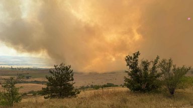Поредният голям пожар се разгоря и близо до столицата
