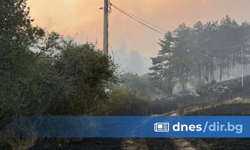 През последните две години (2024-2025 г.) нашата страна отчита тревожна