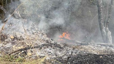 Пожарът над костинбродското село Опицвет отново се разгоря и застрашава