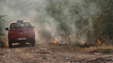 Пожарът в Сакар заради който община Тополоврад обяви частично бедствено