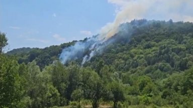 Пожар в горски площи е избухнал край беловското село Габровица