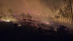 Огромен пожар край Струмяни, горят над 200 декара борова, в гасенето се включва и хеликоптер