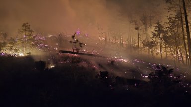 Огромен пожар край Струмяни, горят над 200 декара борова, в гасенето се включва и хеликоптер