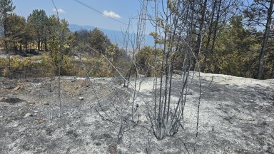Пожарът в землището на село Илинденци край Струмяни Към