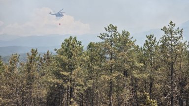 По думите му засегнатите от огъня площи вече са над