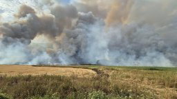 Пожар избухна в Трънско, горят къщи, търсят се доброволци за потушаване на огъня (видео)