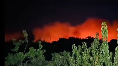 Евакуират пограничното село Лесово, пожарът в Струмяни пълзи към Кресненското дефиле  (видео)