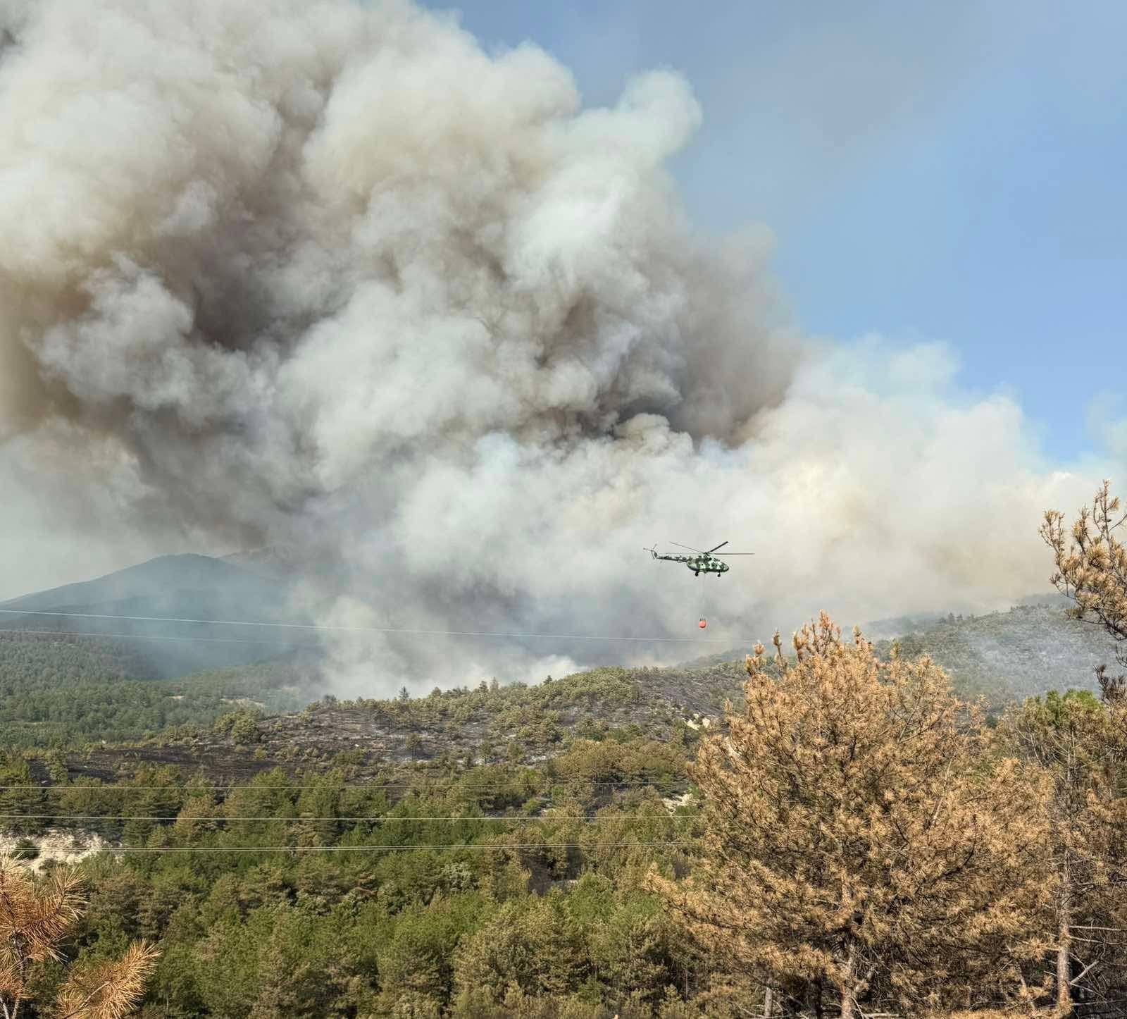 Пожарът в Струмяни