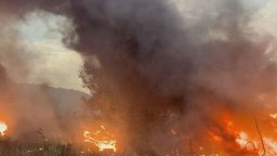 Голям пожар избухна край "Дунарит", направиха просеки огънят да не достигне военния завод