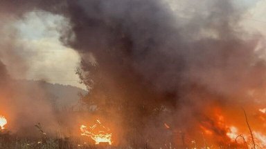 Голям пожар избухна край "Дунарит", направиха просеки огънят да не достигне военния завод
