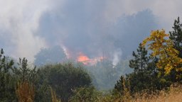 Огнен ад в цялата страна: Затвориха и прохода Троян-Кърнаре, екипи от чужбина идват на помощ