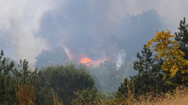 Огнен ад в цялата страна: Затвориха и прохода Троян-Кърнаре, екипи от чужбина идват на помощ