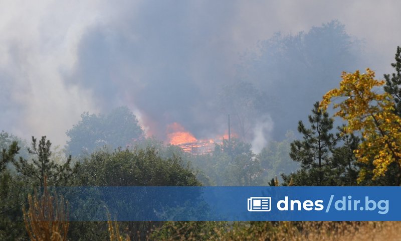 Нови пожари продължават да възникват в различни райони в страната. В борбата срещу огнения