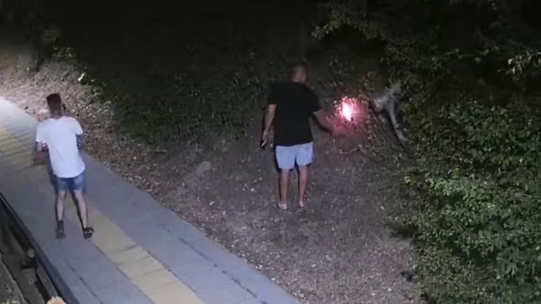 Вижте как криминално проявен подпалва умишлено пожара във Велико Търново (видео)