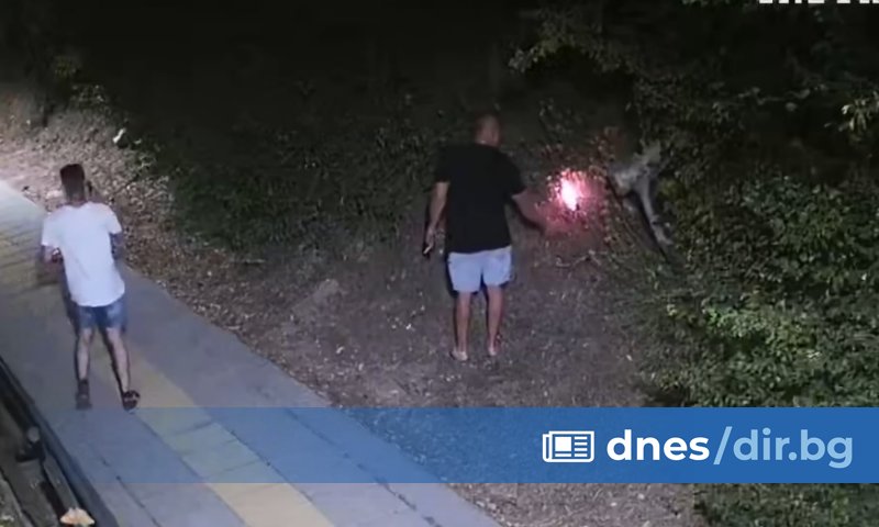 Камери са заснели как 33-годишен криминално проявен мъж запалва умишлено