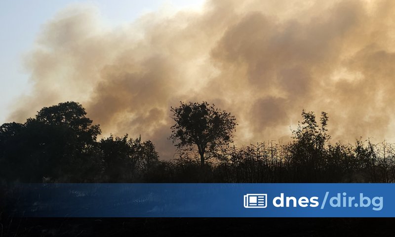 Пожарът в района на Харманли и Любимец е ограничен по