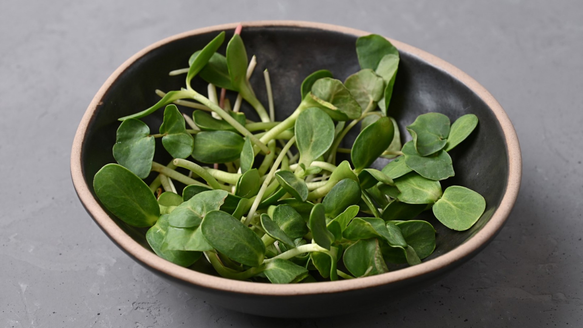 Тученицата - плевел или нещо повече от това, за което не знаем