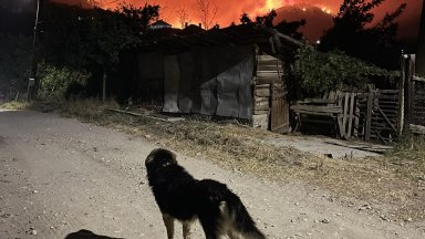 Колко строги са наказанията за предизвикване на пожар на Балканите?