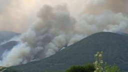Дългоочакваният дъжд заваля над големия пожар в Пирин