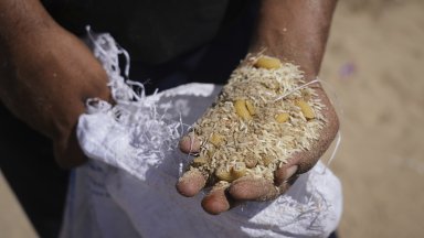 Нови жертви и глад в ивицата Газа въпреки ежедневните паузи в сраженията (снимки)
