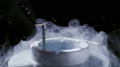 Виж още Родиха се първите близнаци в света от ембриони