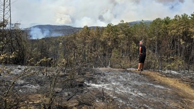 Районът на пожара край Илинденци се обхожда На места все
