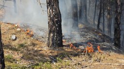 Пожарът в района на Илинденци продължава да гори, но огнищата са под контрол