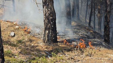 Пожарът в района на Илинденци продължава да гори, но огнищата са под контрол