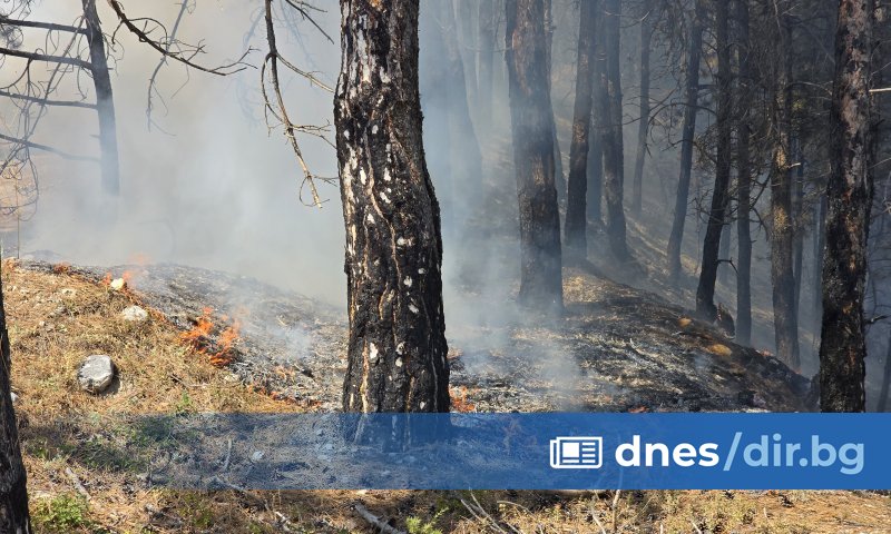 Пожарът в района на Илинденци продължава да гори, но огнищата