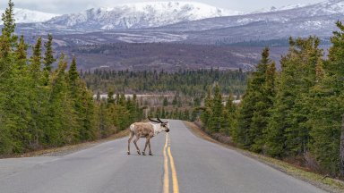 24 годишен българин е загинал след като шофираният от него автомобил