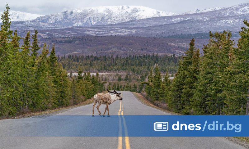 24-годишен българин е загинал, след като шофираният от него автомобил