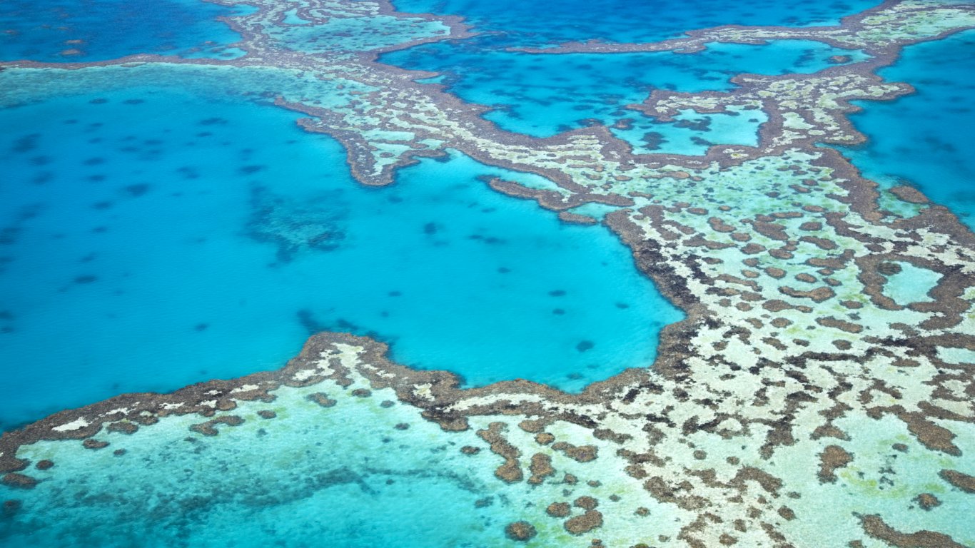 Големият бариерен риф понася рекордно избелване