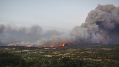 Във Франция е обявено високо ниво на тревога заради екстремните температури над 40 градуса 