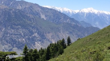 Виж още Двукратната олимпийска шампионка Лаура Далмайер бе открита мъртва