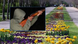 Неизвестен стрелец простреля с въздушна пушка минувач в Морската градина на Варна