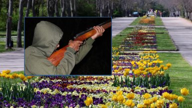 Неизвестен стрелец простреля с въздушна пушка минувач в Морската градина на Варна