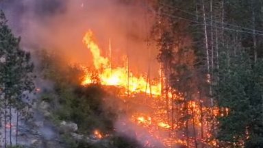 възникна тази вечер в гората над чешма Фатмаджика по панорамния