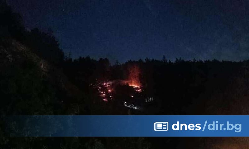 е тръгнал от деца, които са си играли с пиратки.