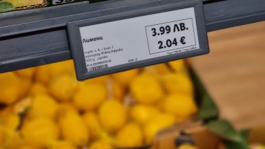 Икономисти: Засилените проверки за еврото водят до изкуствено вдигане на цените