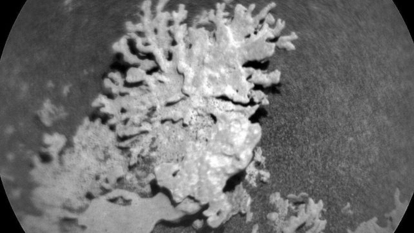 НАСА засне "корал" на Марс