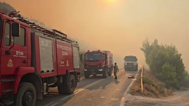 Пожарите в жежкия август не морят само България но и