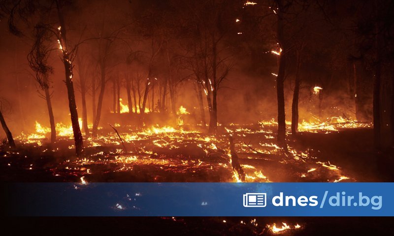 В някои части на Европа днес горят , а милиони