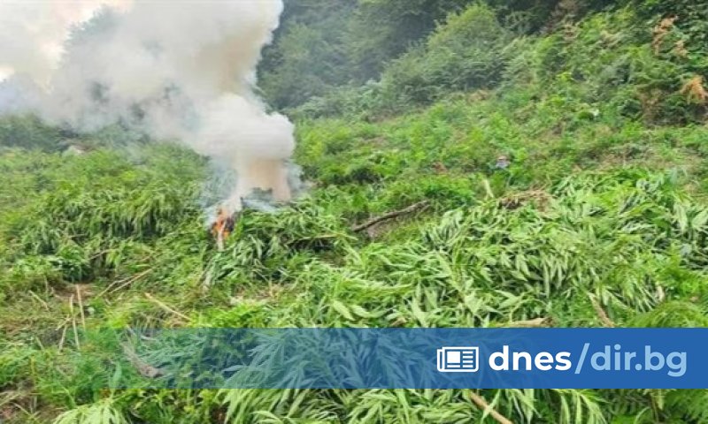 Служители на Областна дирекция на МВР (ОД на МВР) -