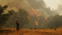 Изменението на климата е направило летните горски пожари в Югоизточна Европа 10 пъти по-вероятни 
