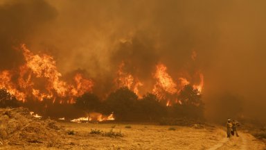 Десетки арестувани заради нй-тежките пожари от десетилетия в Испания (снимки/видео)