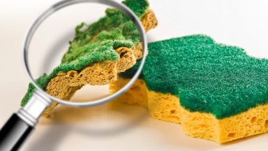 В кухненската ви гъба живеят повече бактерии отколкото в тоалетната